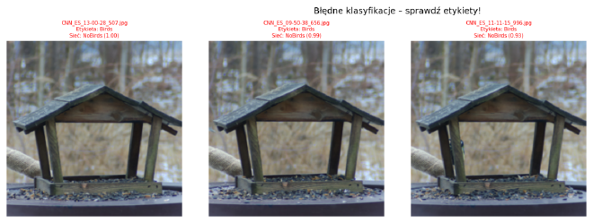 Błędne klasyfikacje