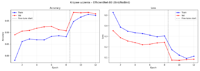 Krzywe uczenia